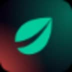 Bitfinex